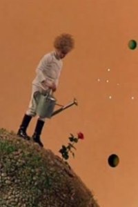 Little Prince, The